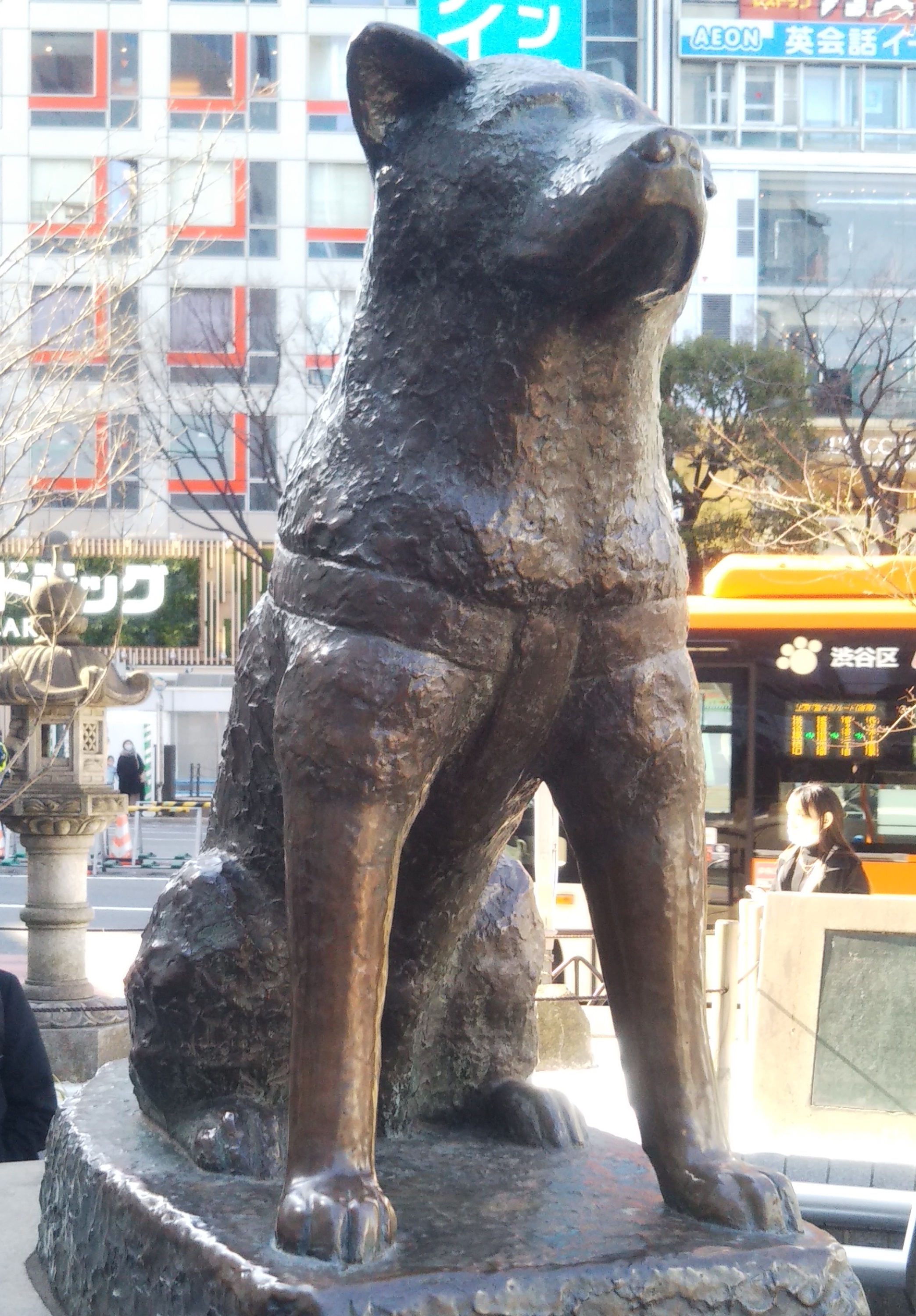 渋谷中央特許商標事務所 - SHIBUYA CENTRAL 渋谷中央特許商標事務所 - SHIBUYA CENTRAL